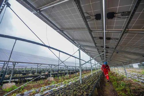 中國(guó)十三省最大光伏電站在這里！欽州康熙嶺的光伏電站能排上號(hào)了嗎？